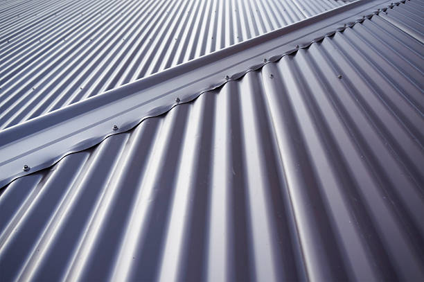 Roofing Services in Toorak